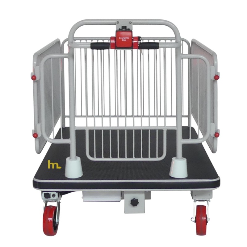 Vista trasera del carro eléctrico de plataforma - 400 kg